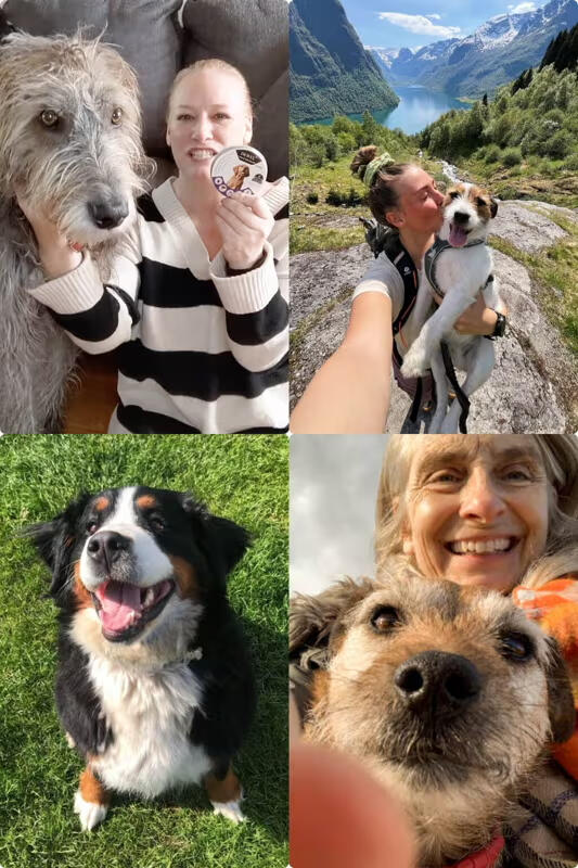 How DEWEL™ Fits Into Your Dog’s Daily Routine?