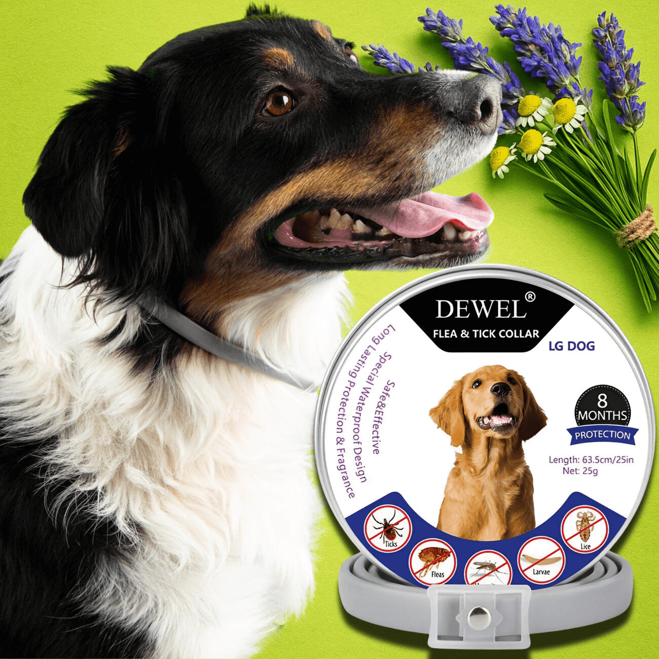 DEWEL™ Natural Collar: Built for Daily Tick Defense DEWEL™ Natural Collar: Built for Daily Tick Defense