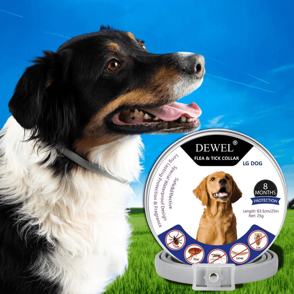 #1 — DEWEL™ Natural Tick Repellent Collar for Dogs #1 — DEWEL™ Natural Tick Repellent Collar for Dogs
